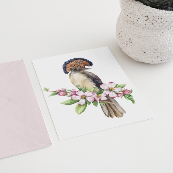 Flycatcher Bird Wall Art Watercolor Illustration Print Poster Card Unframed - Picture 6 of 7